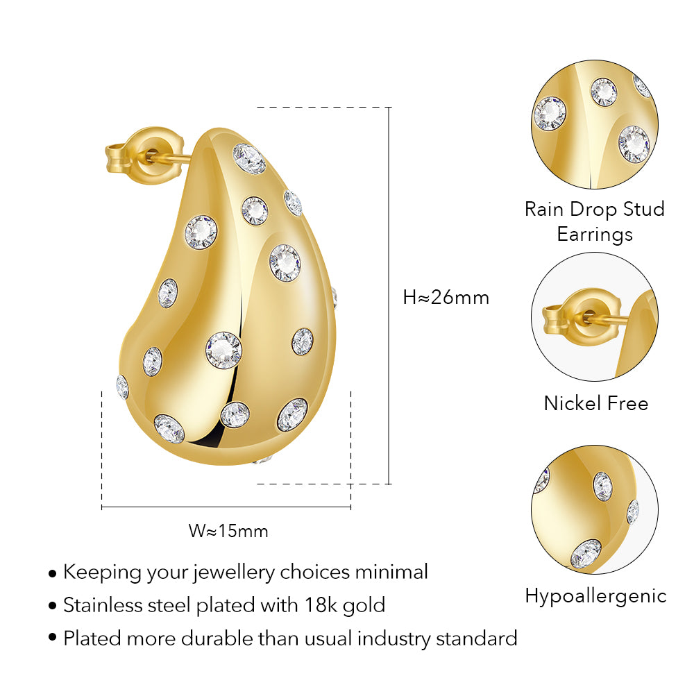 Seren Rain Drop Zircon Stud Earrings