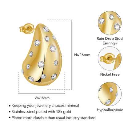 Seren Rain Drop Zircon Stud Earrings